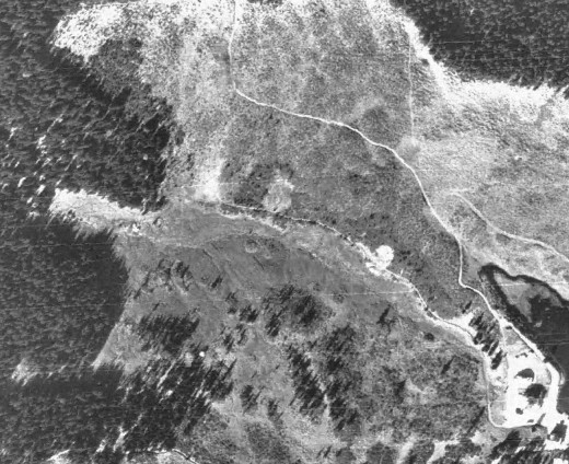 06a_pascolo_bosco_1973