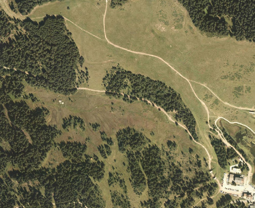 06b_pascolo_bosco_2015