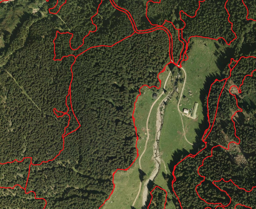 14a_effetti_vaia_prima